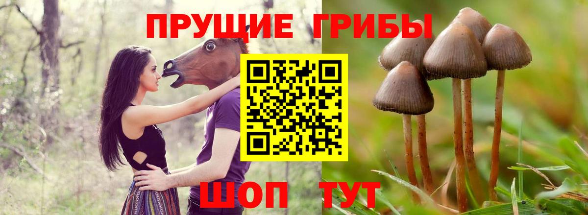Галлюциногенные грибы GOLDEN TEACHER Сарапул